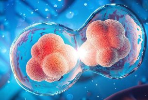 Conjoined twins are the result of a single fertilized egg that doesn't fully separate into two individuals during early embryo development. Photo:Adobe Stock/Anusorn